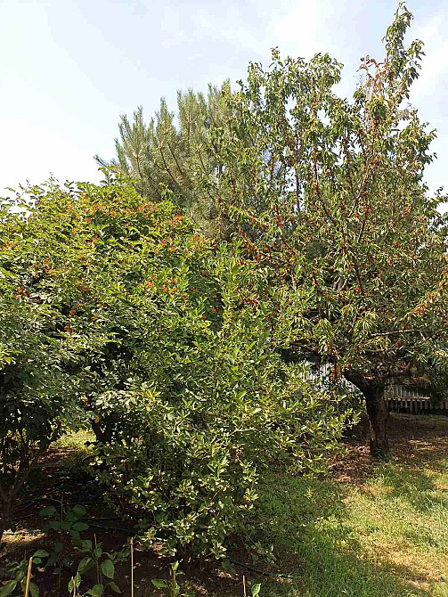 Продам дом в Фонтанке. Фонтанка - фото 7