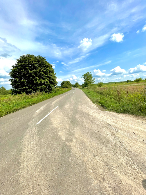 Продаж 1-поверховий Будинок з ділянкою 0.2496 сот 104.4 кв.м 3 кімн. на Новоставська Шостаків - фото 11