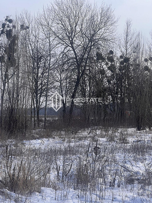 Продаж земельної ділянки 2 га Hnidyn - photo 3