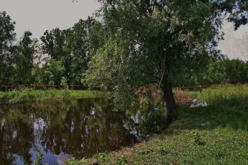 Продаж земельної ділянки 25 соток  - фото 1