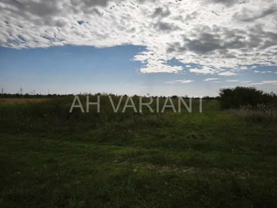 For sale land plot For agricultural activities area 20 ares Чонкаші Storozhnytsia - photo 3
