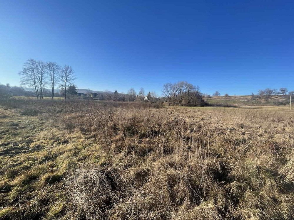 Продаж земельної ділянки 29 соток  - фото 2