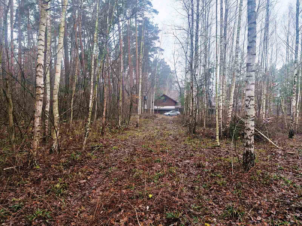 Продаж земельної ділянки 24 соток  - фото 12