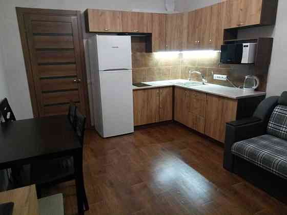 Оренда Квартира 1-кімнатна, 2/24 поверх Киев