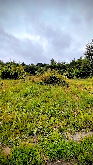 Продаж земельної ділянки 14 соток на урочище за плотами  - photo 3