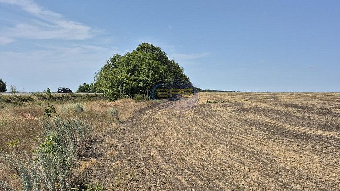 Продаж с/г земельної ділянки Мале - фото 1