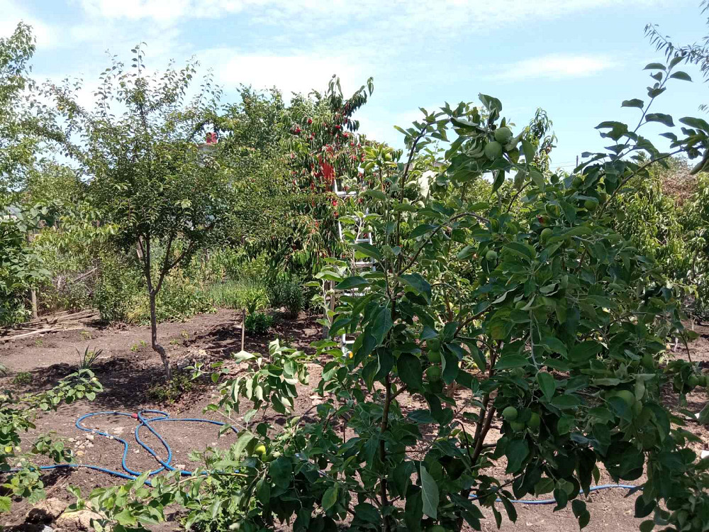 Продается дом в с. Дачное. Дачне - фото 4