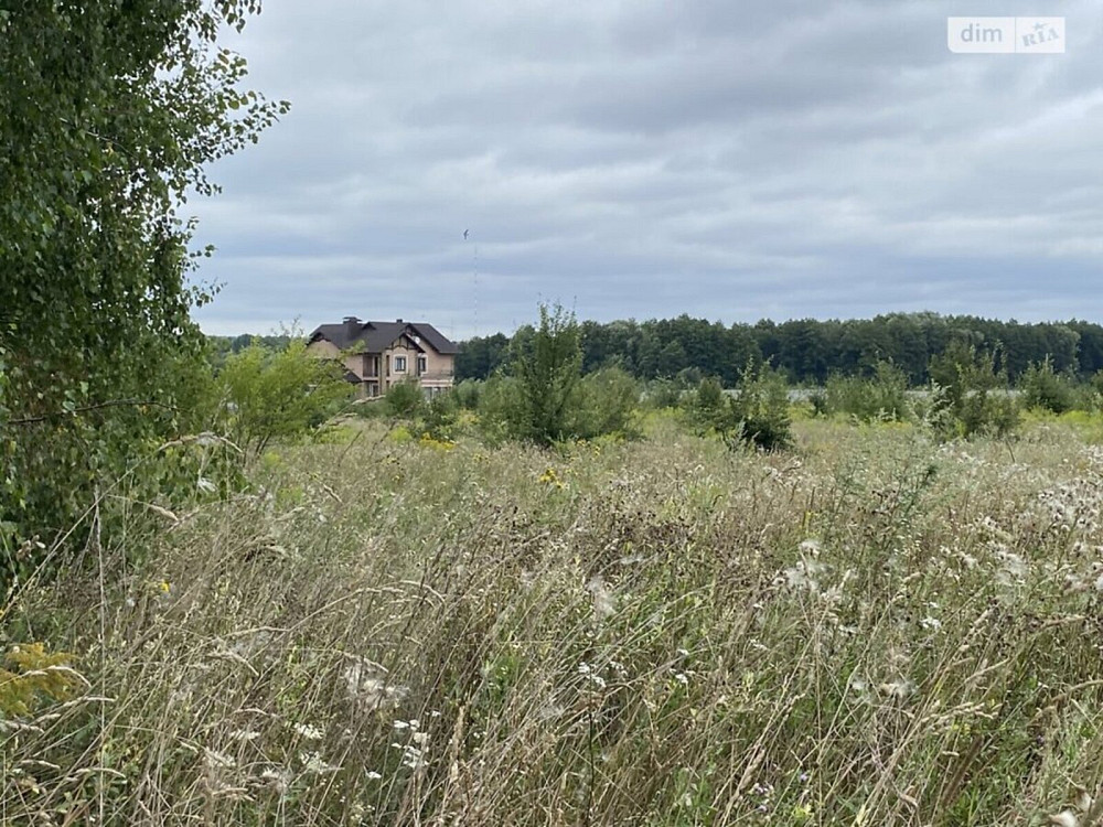 Продаж земельної ділянки 70 соток Vinnytsya - photo 4