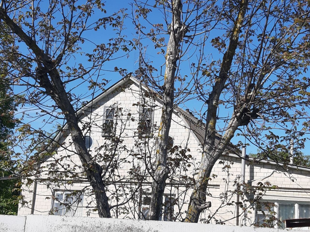 Продаж Будинок на переулок Богатырский, д.4 Березань - изображение 14