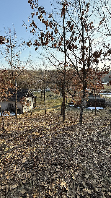 Продаж земельної ділянки 71.8 соток на Шевченка Посіч - фото 8