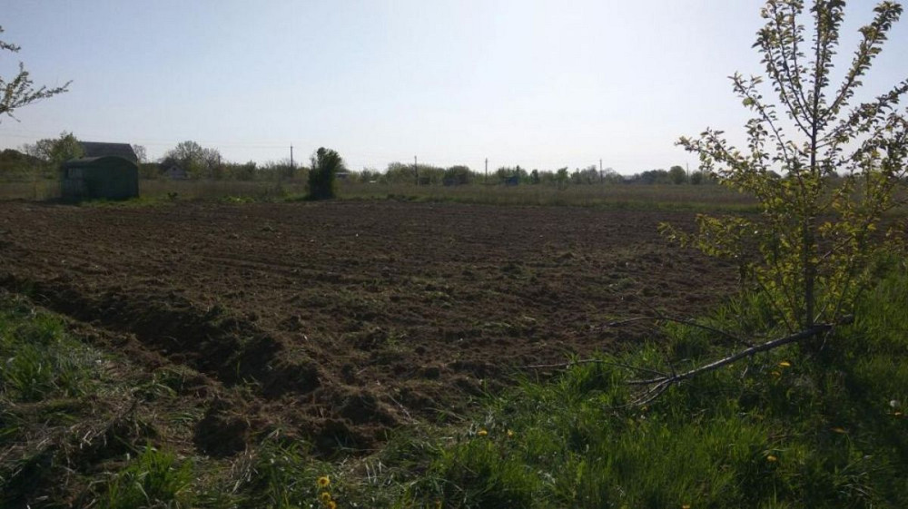 Продаж земельної ділянки 10 соток  - фото 5