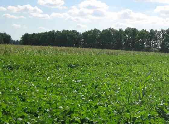 Продаж земельної ділянки 7.5 га Кропивницький