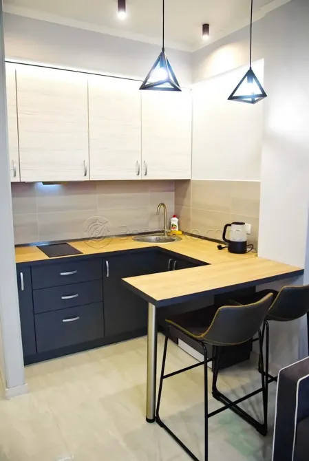 Аренда 2к Квартира 50 кв.м Гагаринское плато, 5/2 Одесса - изображение 2