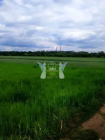 Продажа земельного участка  площадь 23 сот Долинна вулиця  - изображение 2