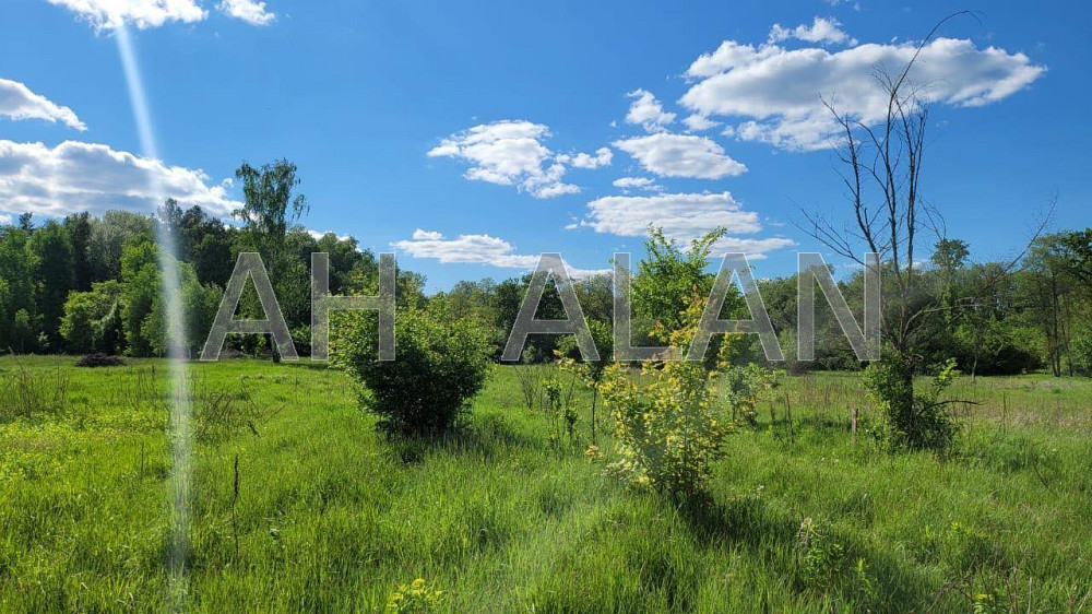 Продаж земельної ділянки 43.15 соток на вул. Лісна Таценки - фото 7