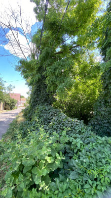 Продаж земельної ділянки 0.1 соток на ул. Цветочная, 29 Одеса - фото 8