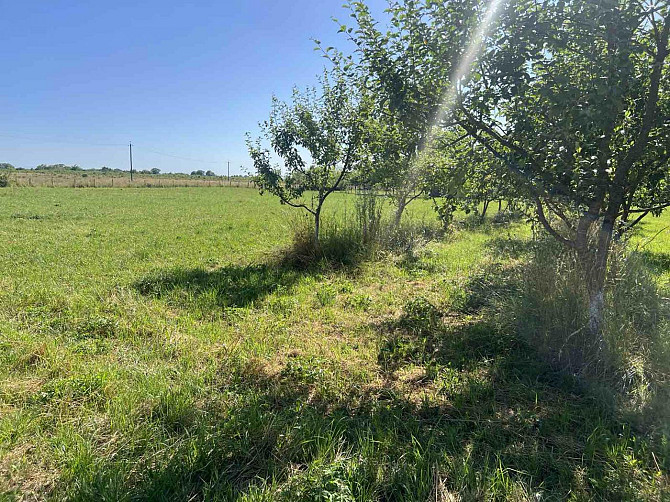 Продаж земельної ділянки — Жидачівський район Turady - photo 5