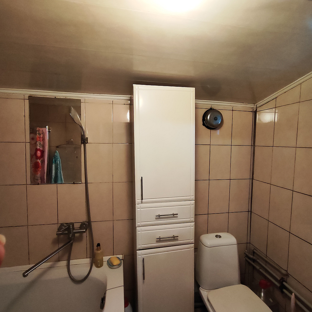 Дом с большим участком в с.Усатово. Usatove - photo 15