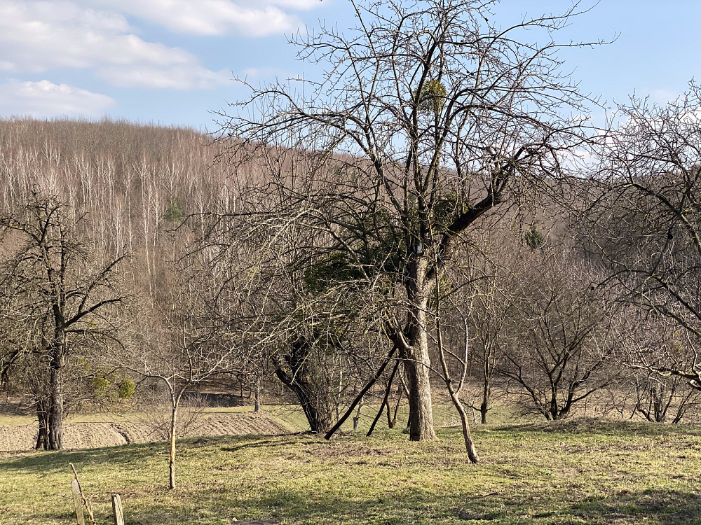 Продаж Будинок на вул. Козаки Будки - фото 20