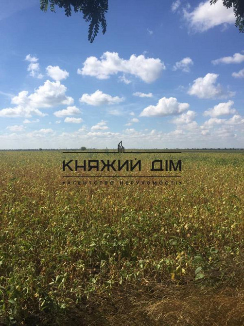 Продаж земельної ділянки 60 соток на М. Михайлюка, 45  - фото 3