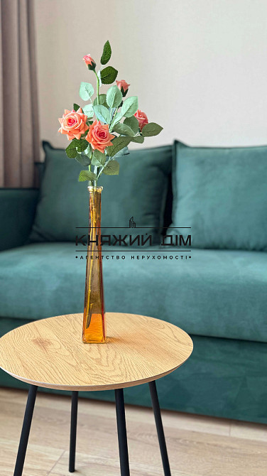 Оренда Квартира 1-кімнатна, 20/24 поверх на Краковская ул. Kiev - photo 4