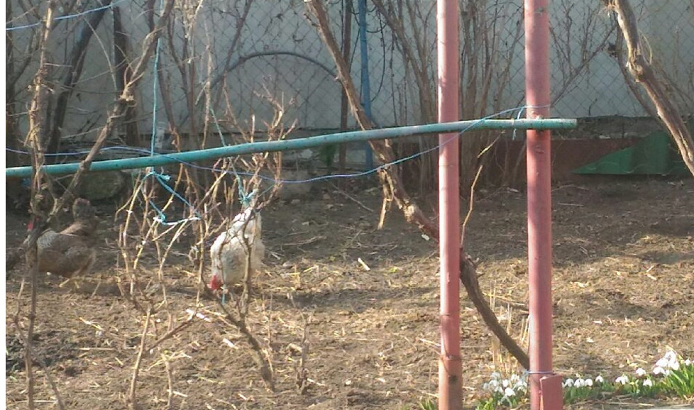 Продаж комерційне приміщення на ул. Радиальная, 11 приміщень - 4, поверх - 1 Odessa - photo 10