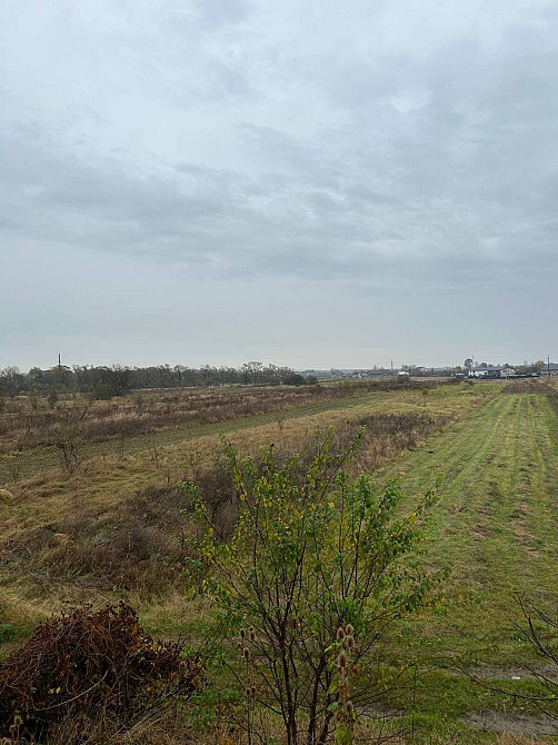 Продаж земельної ділянки 2.27 га Ivano-Frankivs'k - photo 6