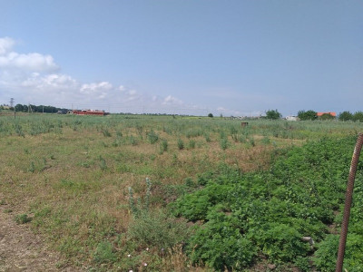 Продаж земельної ділянки 0.1 соток на массив Солнечный, 12 Авангард - фото 2