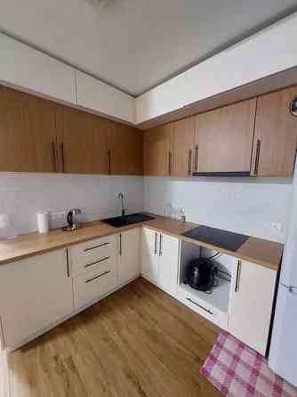 Оренда Квартира 1-кімнатна, 18/25 поверх на ул. Вишняковская Kiev