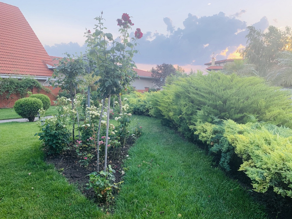 Продаж Будинок Odessa - photo 20