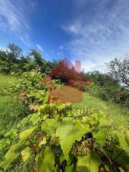 Продаж земельної ділянки 6 соток Uzhhorod - photo 5