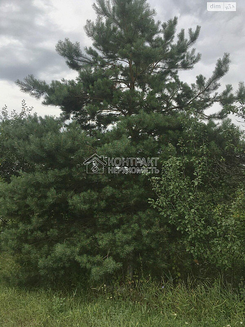 Продаж Будинок 4-кімнатний на вул. провулок Польовий Люботин - фото 16