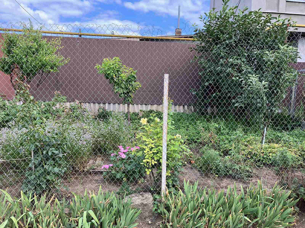 Продам  часть дома в Крыжановке Kryzhanivka (Kominternivskyi raion) - photo 14