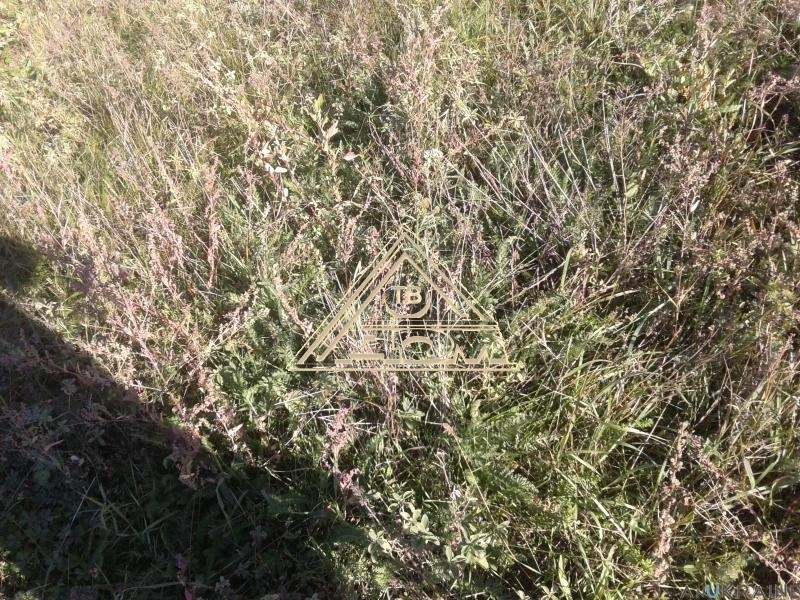 Продаж земельної ділянки 0.1 соток на Гидростроитель ( 9-я линия), 301 Нерубайське - фото 3