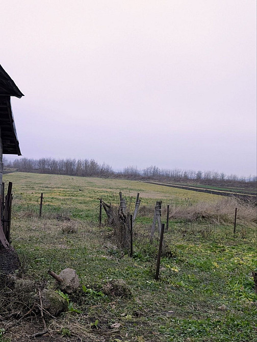 Продаж Будинок на Царинка  - фото 11