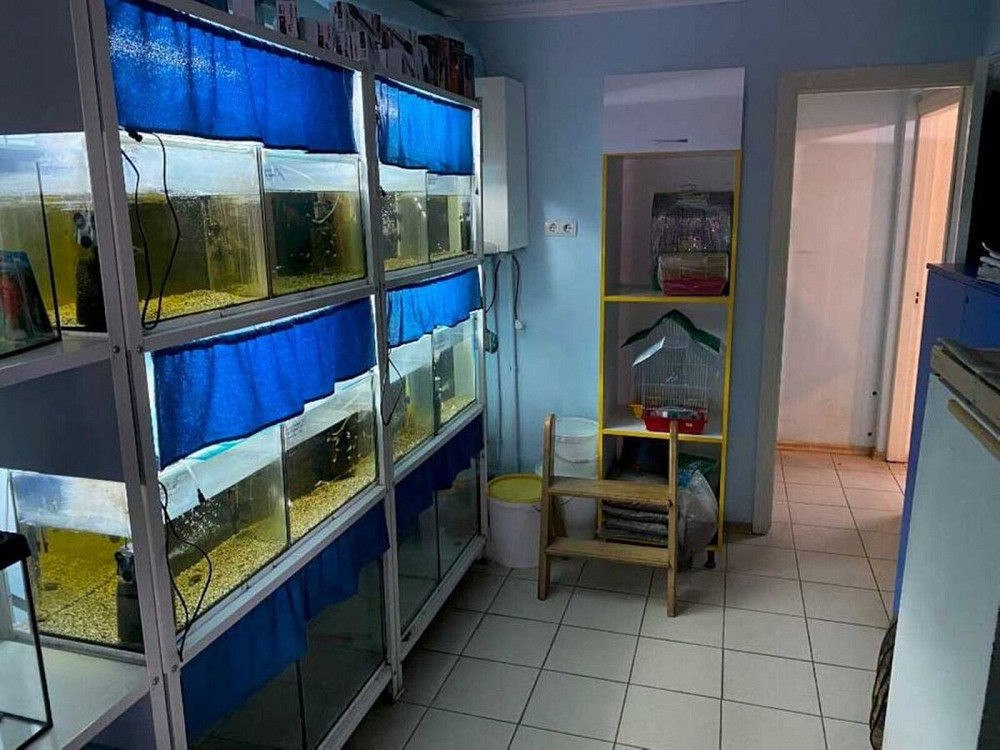 Продаж торгове приміщення на вул. Мазепи Гетьмана поверх - 1/2 Тернополь - изображение 7