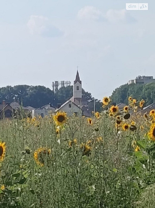 Продаж земельної ділянки 6 соток Vinnytsya - photo 2