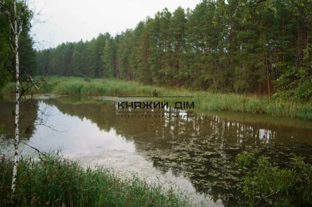 Продається будинок в Ровжах № 2211789 Ровжи - изображение 6