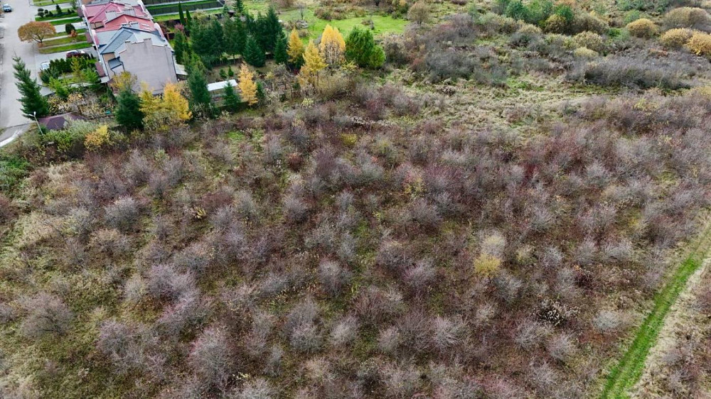 Продаж земельної ділянки 48.5 соток Солонка - фото 3