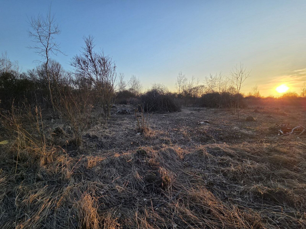 Продаж земельної ділянки 20 соток Чукалівка - фото 4