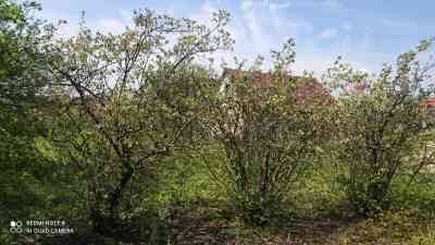 Продаж земельної ділянки 0.1 соток на ул. Хаджибеевская, 27 Нерубайське