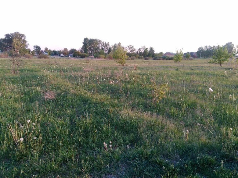 Продаж земельної ділянки 15 соток Іванків - фото 2