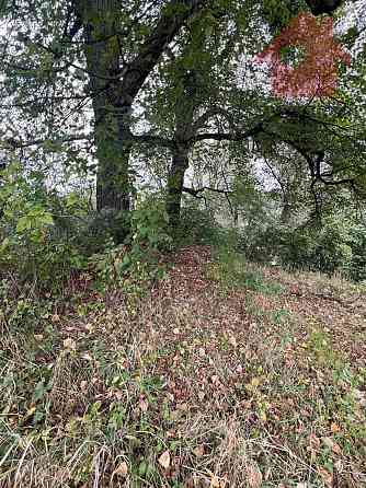 Продаж земельної ділянки 29.4 соток 