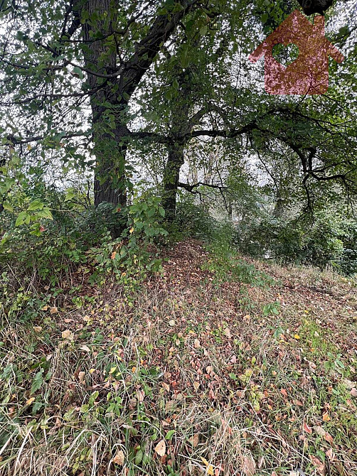 Продаж земельної ділянки 29.4 соток  - photo 2