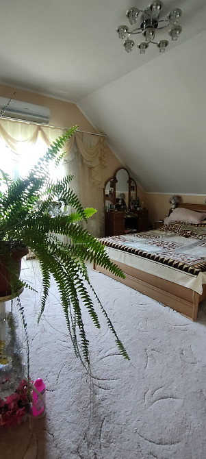 Дом на берегу лимана Nerubaiske - photo 11