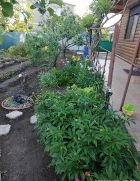 Продаж Будинок 3-кімнатний на ул. Садовая, 26 Нова Дофінівка - фото 15