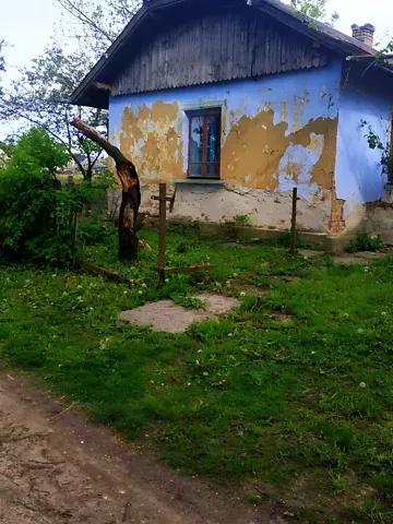 Продажа земельного участка  площадь 26.94 сот Просвіти (1 Травня) вулиця 1  - изображение 5