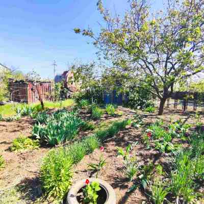 Продаж земельної ділянки 0.1 соток на СТ Межлиманье ( ул. Виноградная), 467 Протопоповка