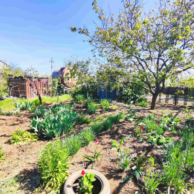 Продаж земельної ділянки 0.1 соток на СТ Межлиманье ( ул. Виноградная), 467 Протопоповка - изображение 6