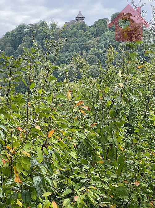 Продаж земельної ділянки 29.4 соток  - photo 10